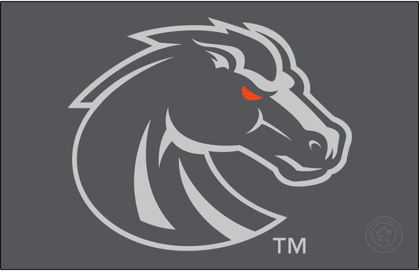 Boise State Broncos 2013-Pres Secondary Logo DIY iron on transfer (heat transfer)